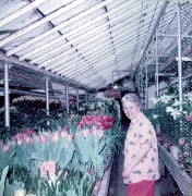 Hoak s Greenhouse